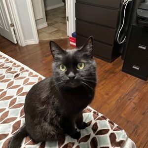 Meet your Posher, Levi